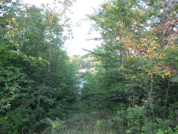 Img 9094