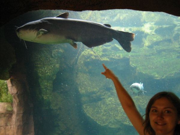 with big fish....